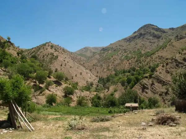 Ağıllı (Gomak)
