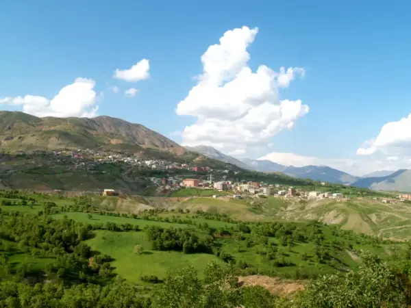 Merkez Yeni (Taxa Nû)