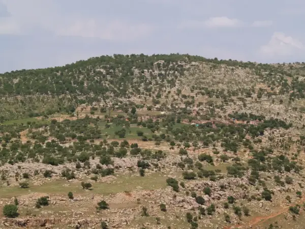 Ünal (Şerefka)