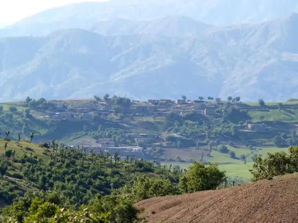 Özbek (Şêxbûba)