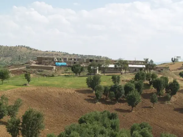 Güllük (Qoqan)