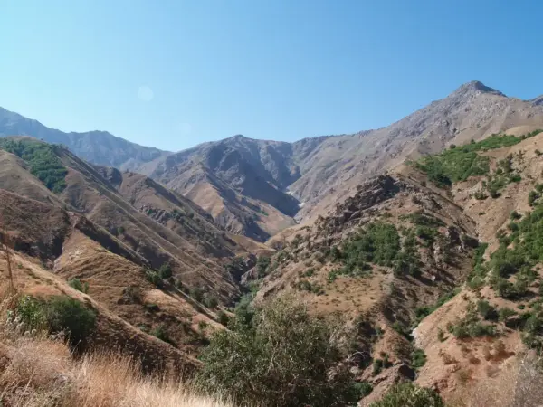 Alaca (Nedera)