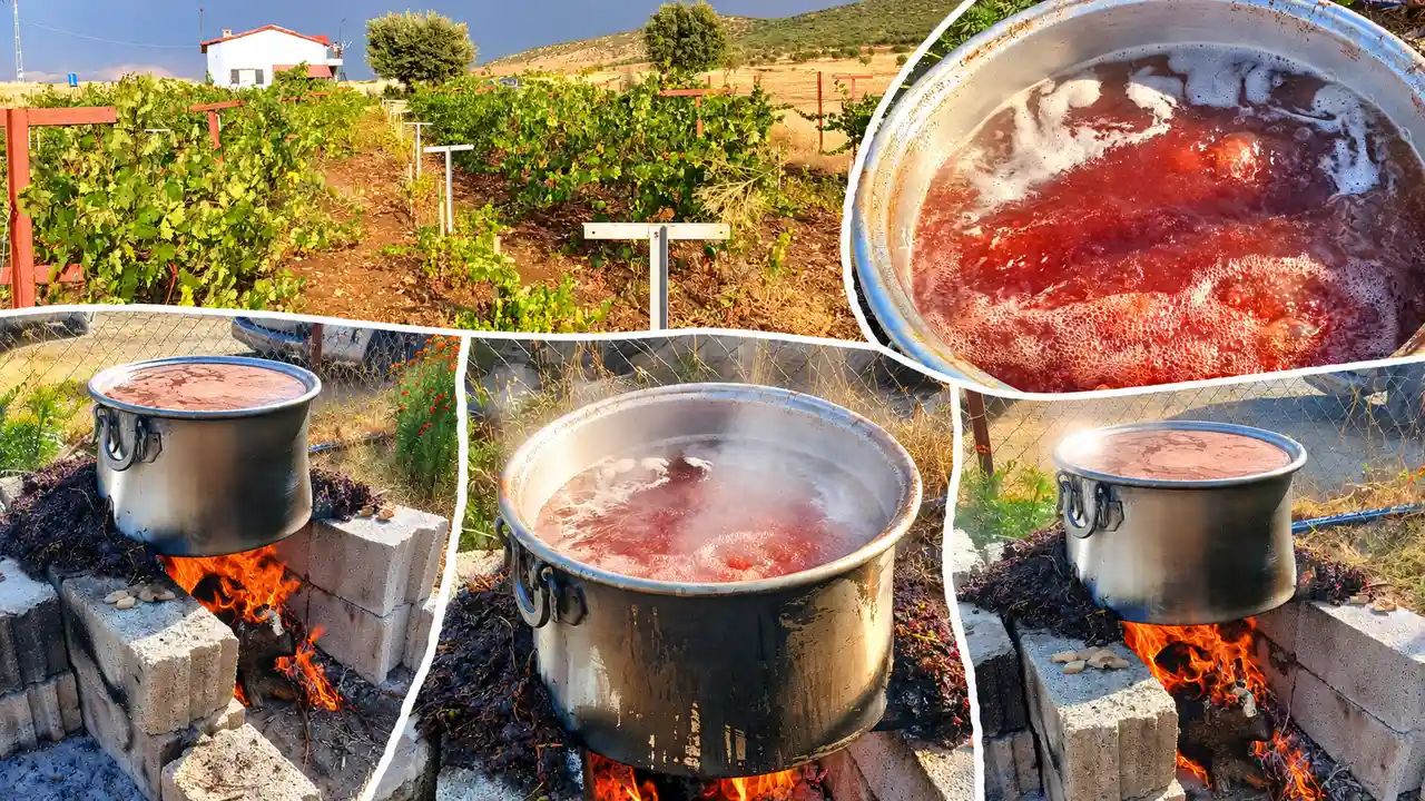 Kulp’ta Bağ Bozumu Zamanı: Üzümler Pekmeze Dönüşüyor