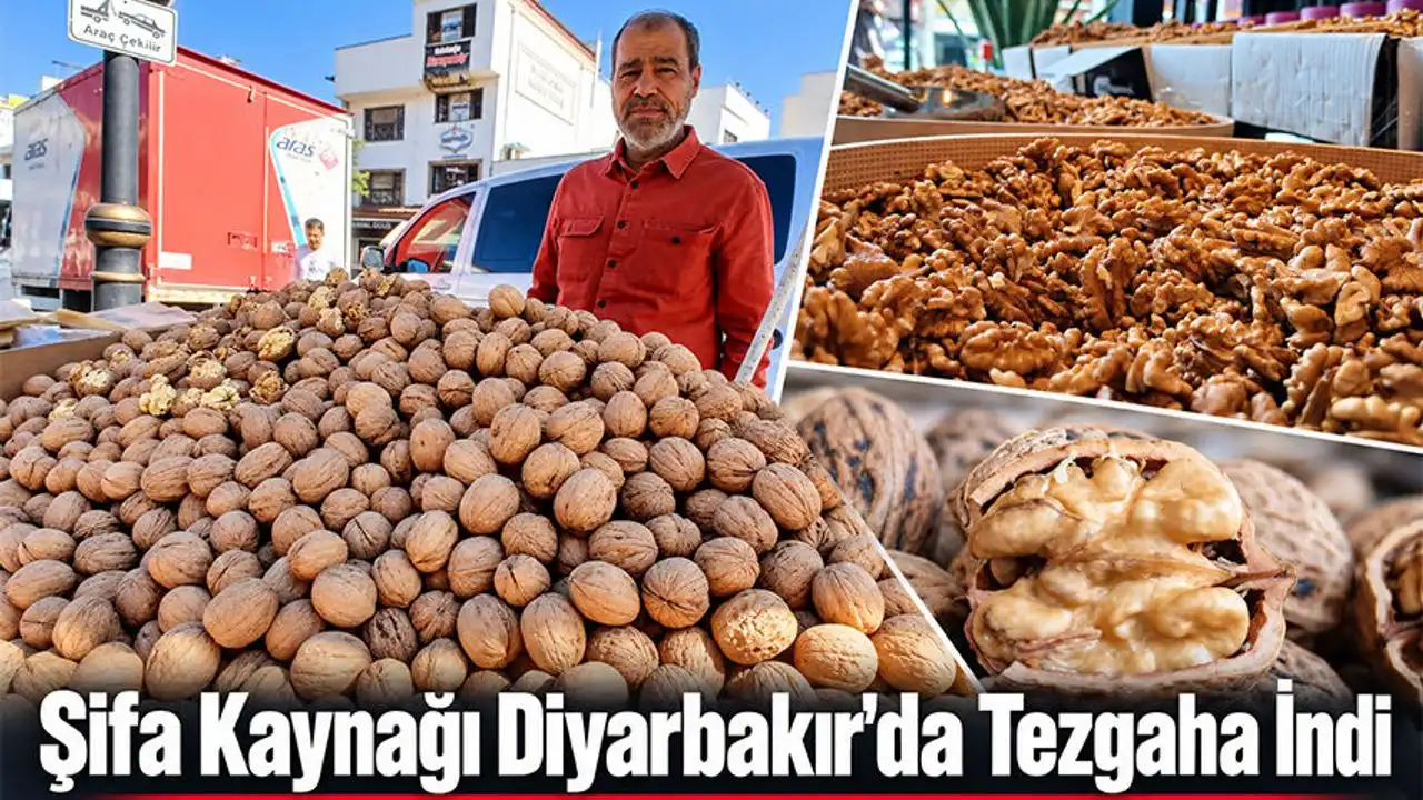 Diyarbakır’da Yeni Sezon Cevizleri Tezgahları Süslüyor