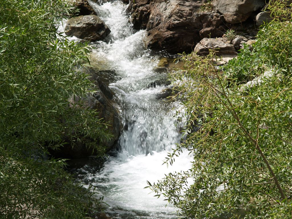 AĞAÇKORUR(BEYROK)