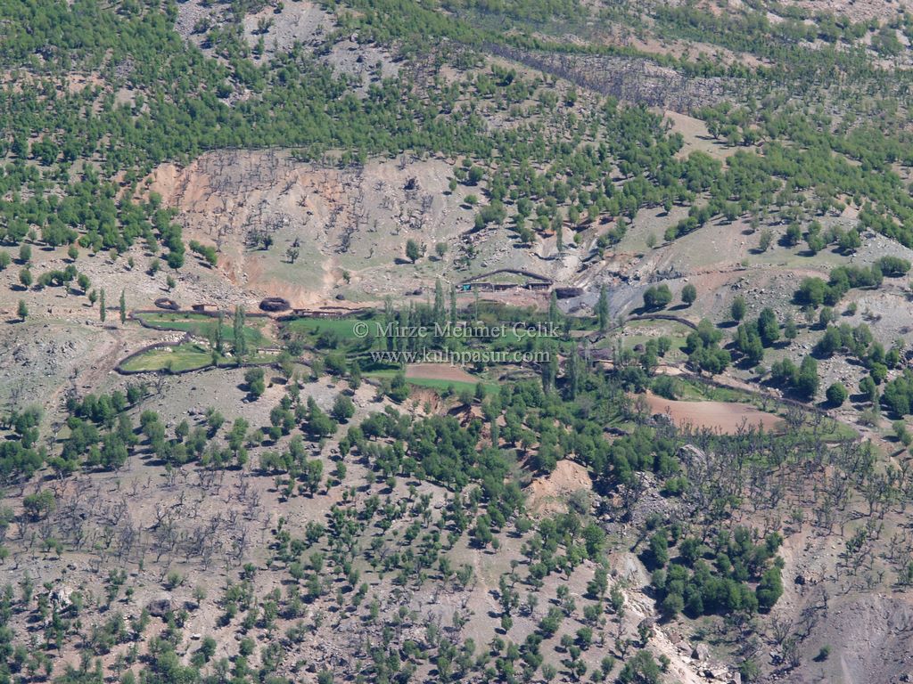 AĞAÇKORUR(BEYROK)
