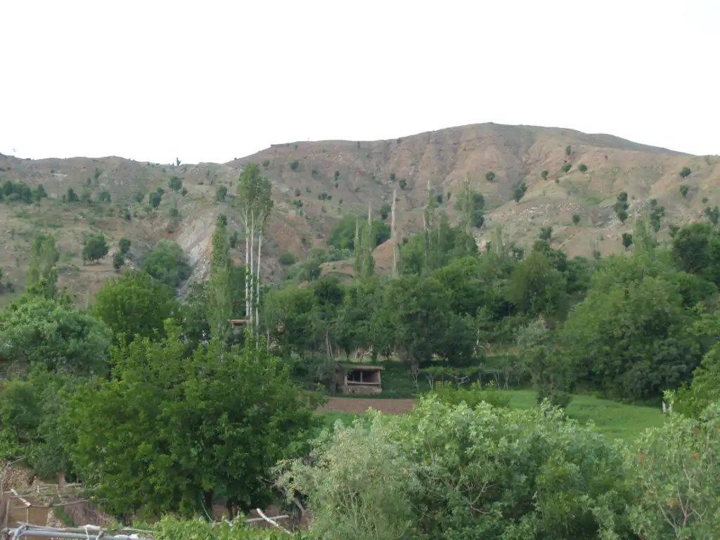 Akçeser Akçesir