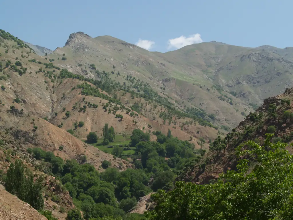 Akçeser Akçesir