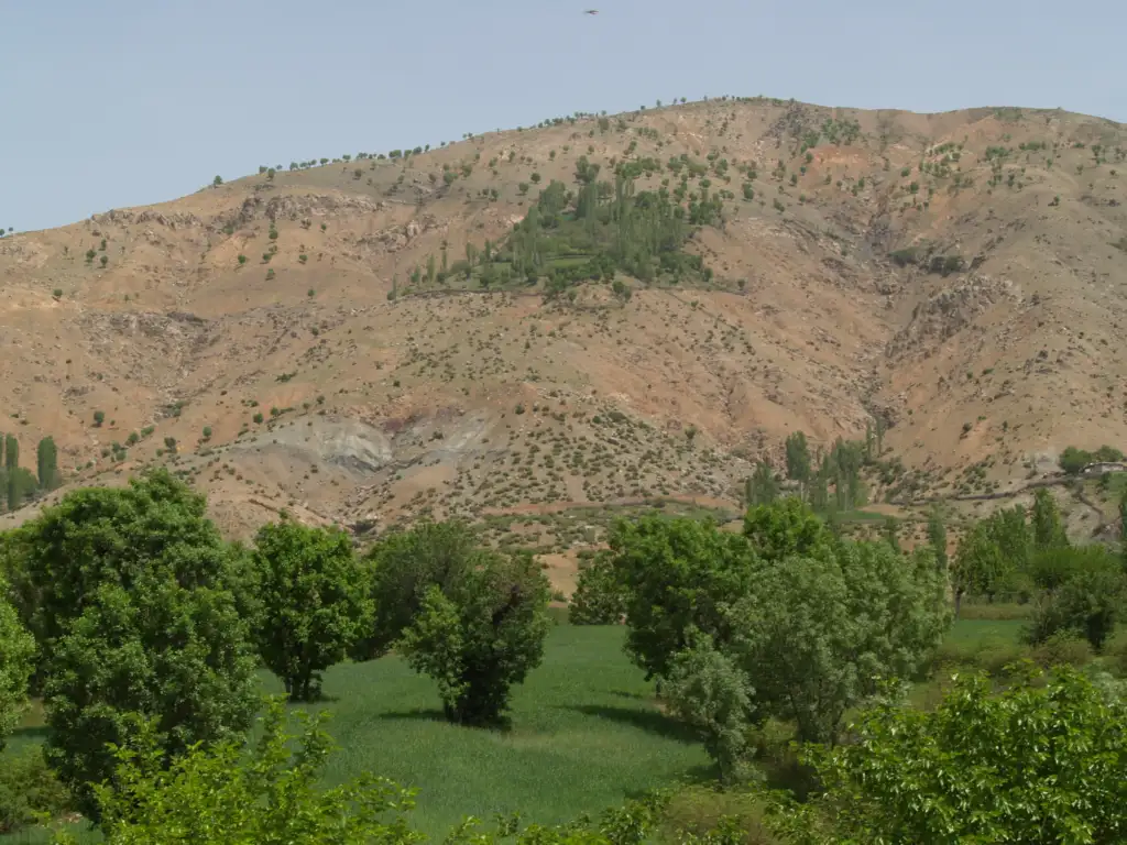 Argün Şirnas