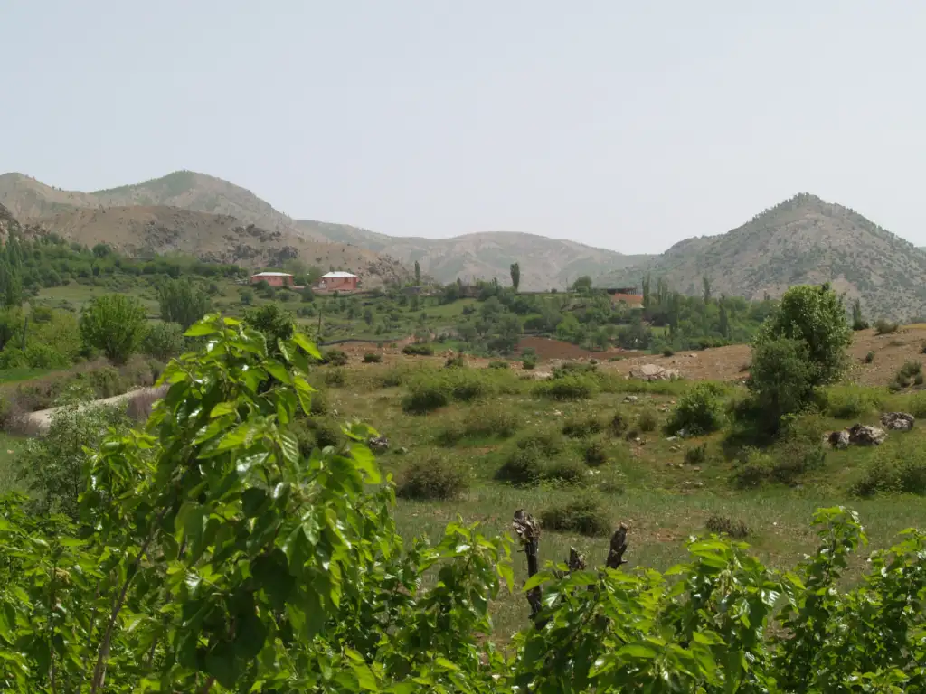 Argün Şirnas