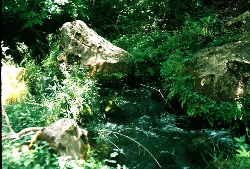 İnkaya Kanıka