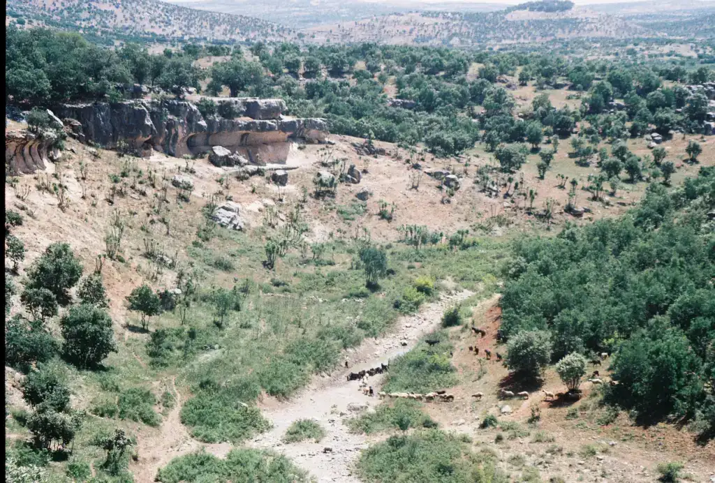 İnkaya Kanıka