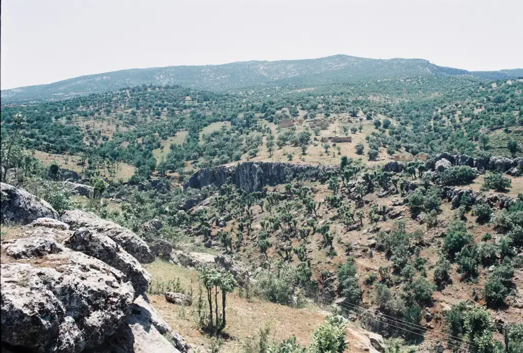 İnkaya Kanıka