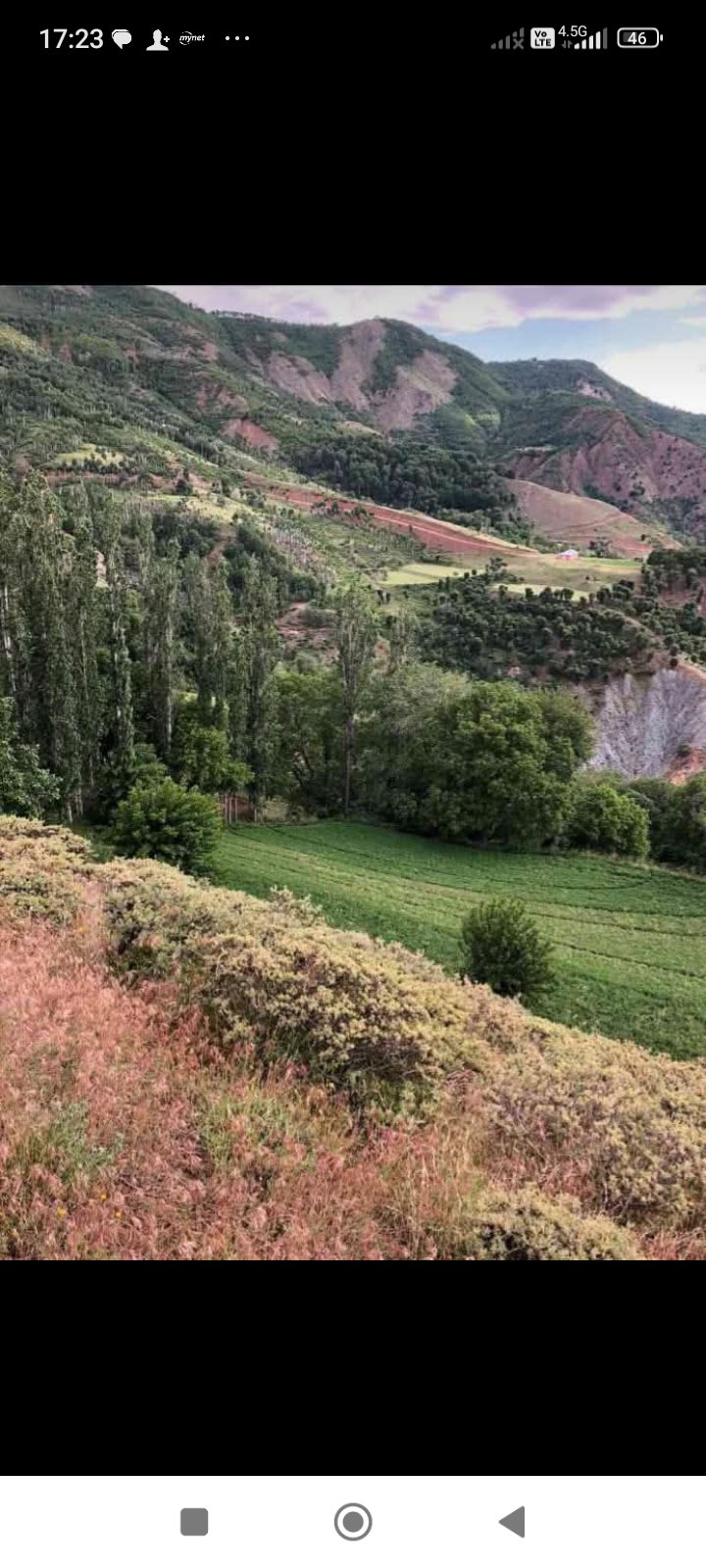 pılta