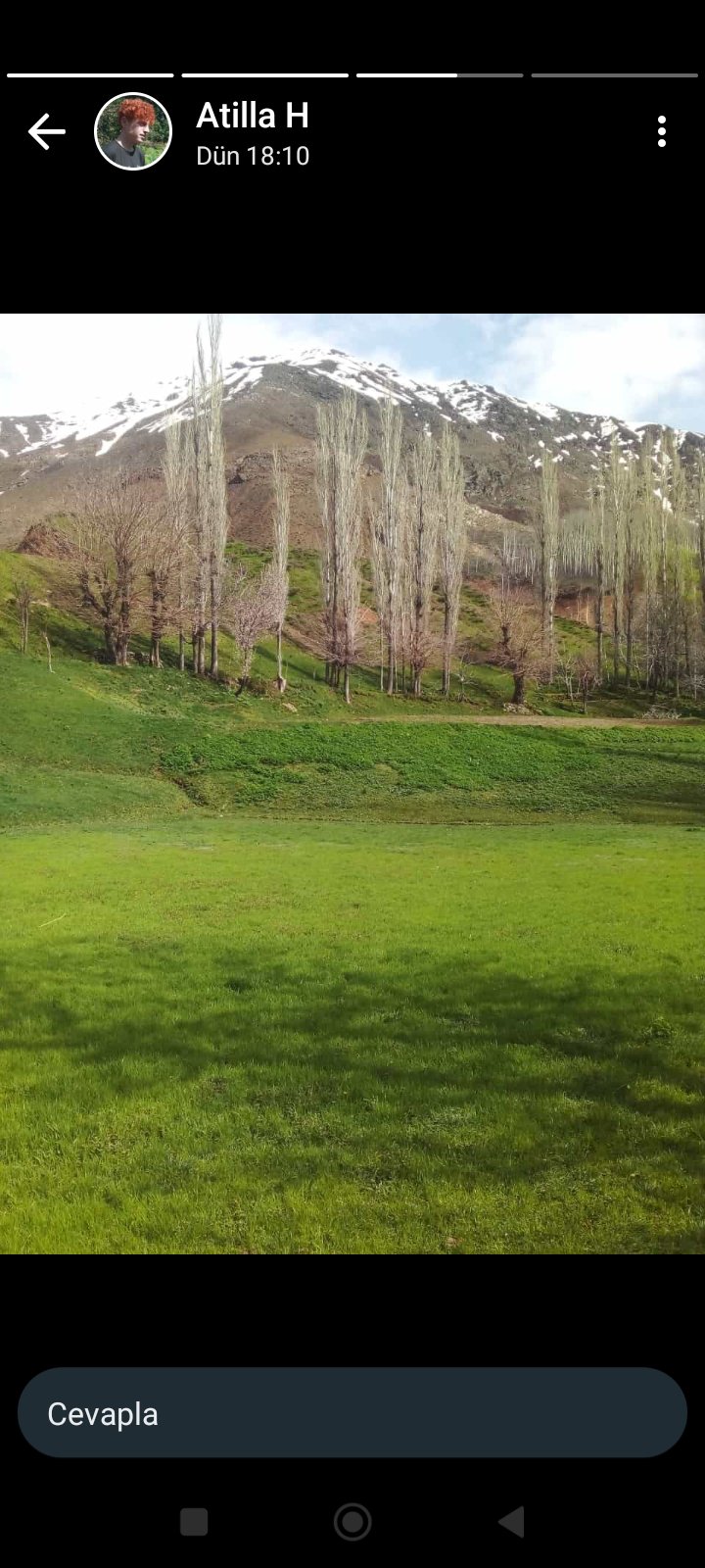 pılta