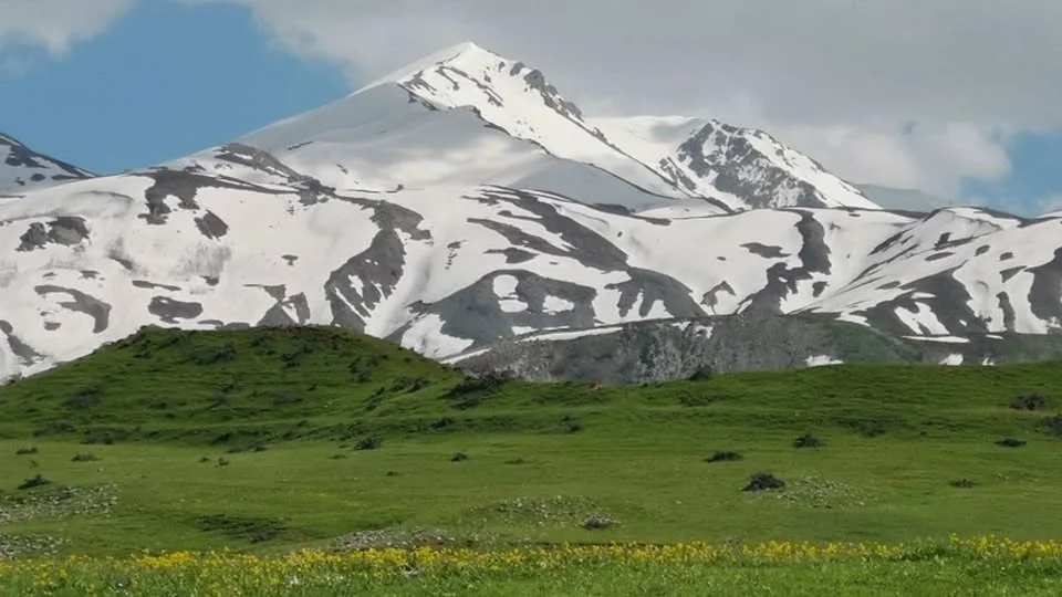 Fotoğraf