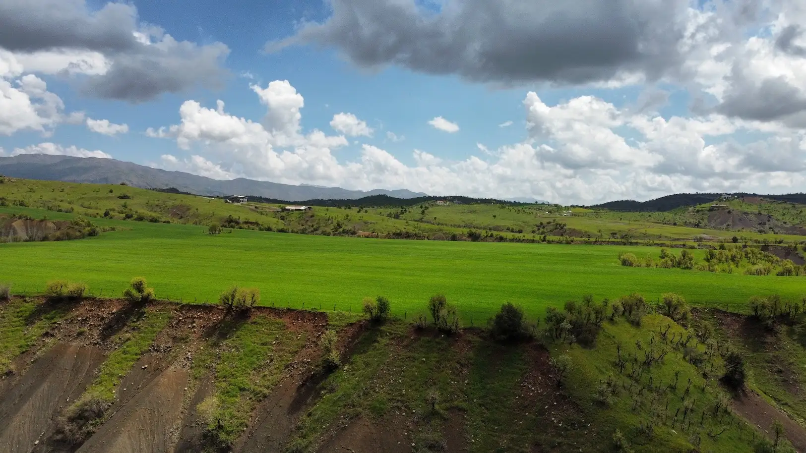 Çeme Şekıra