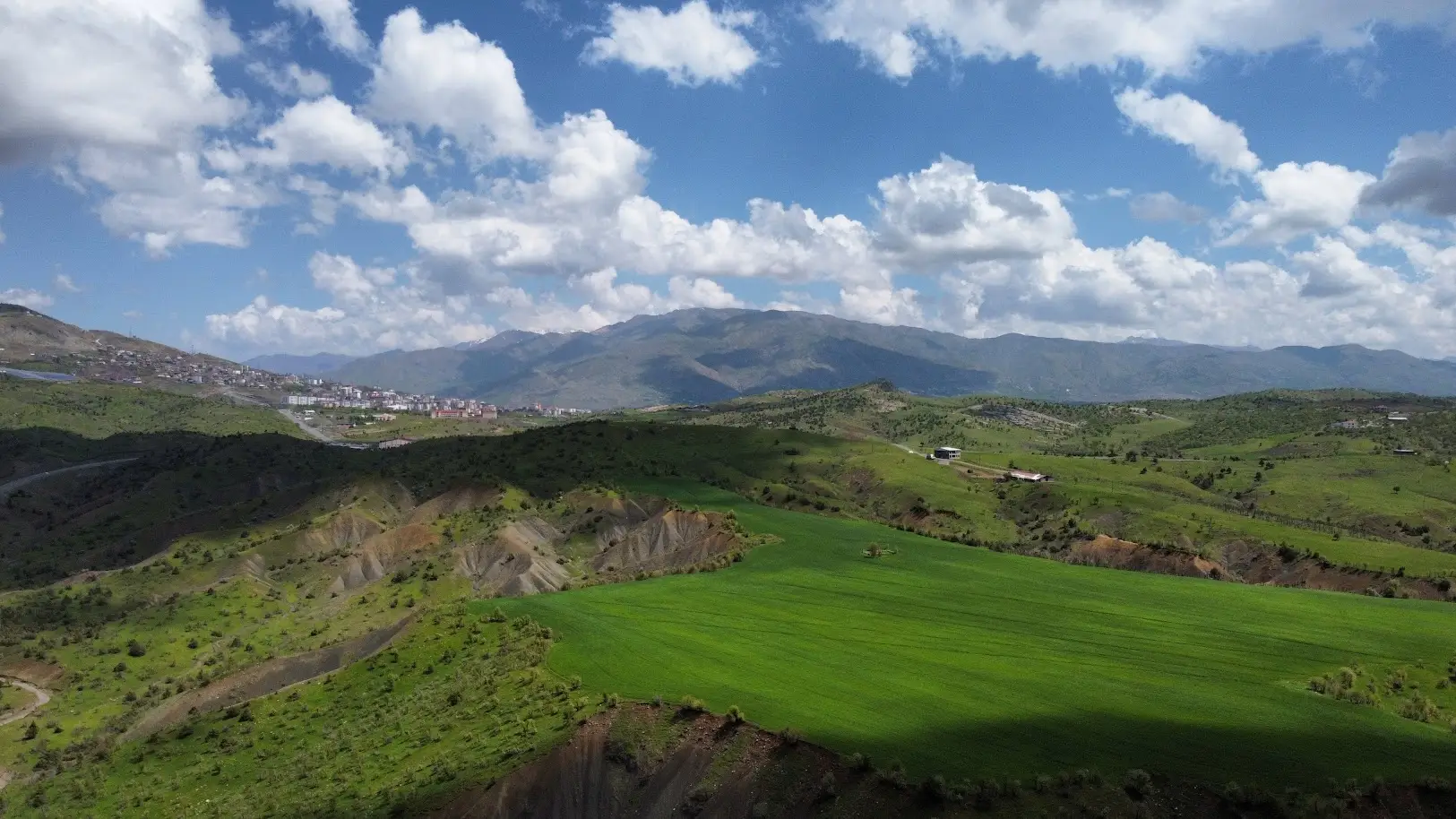 Çeme Şekıra