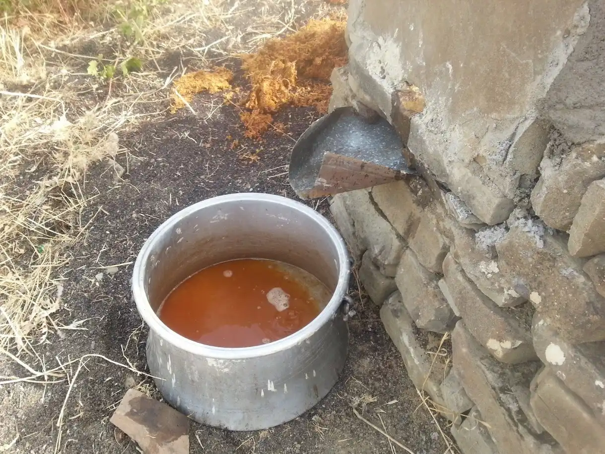 Fotoğraf
