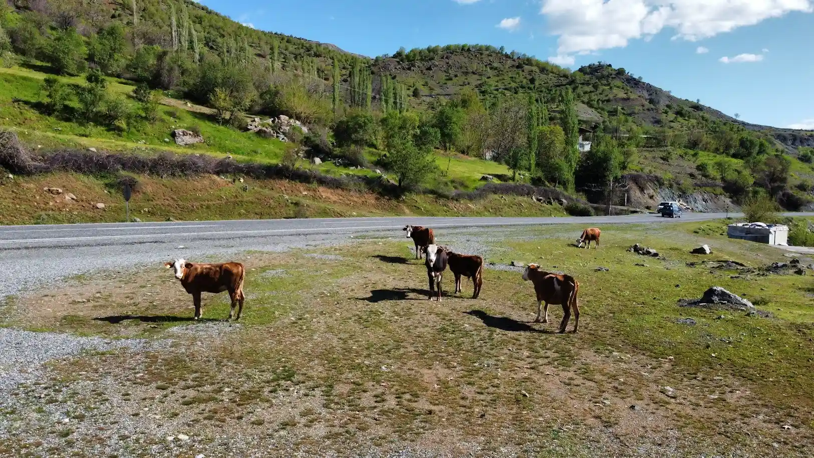 Fotoğraf