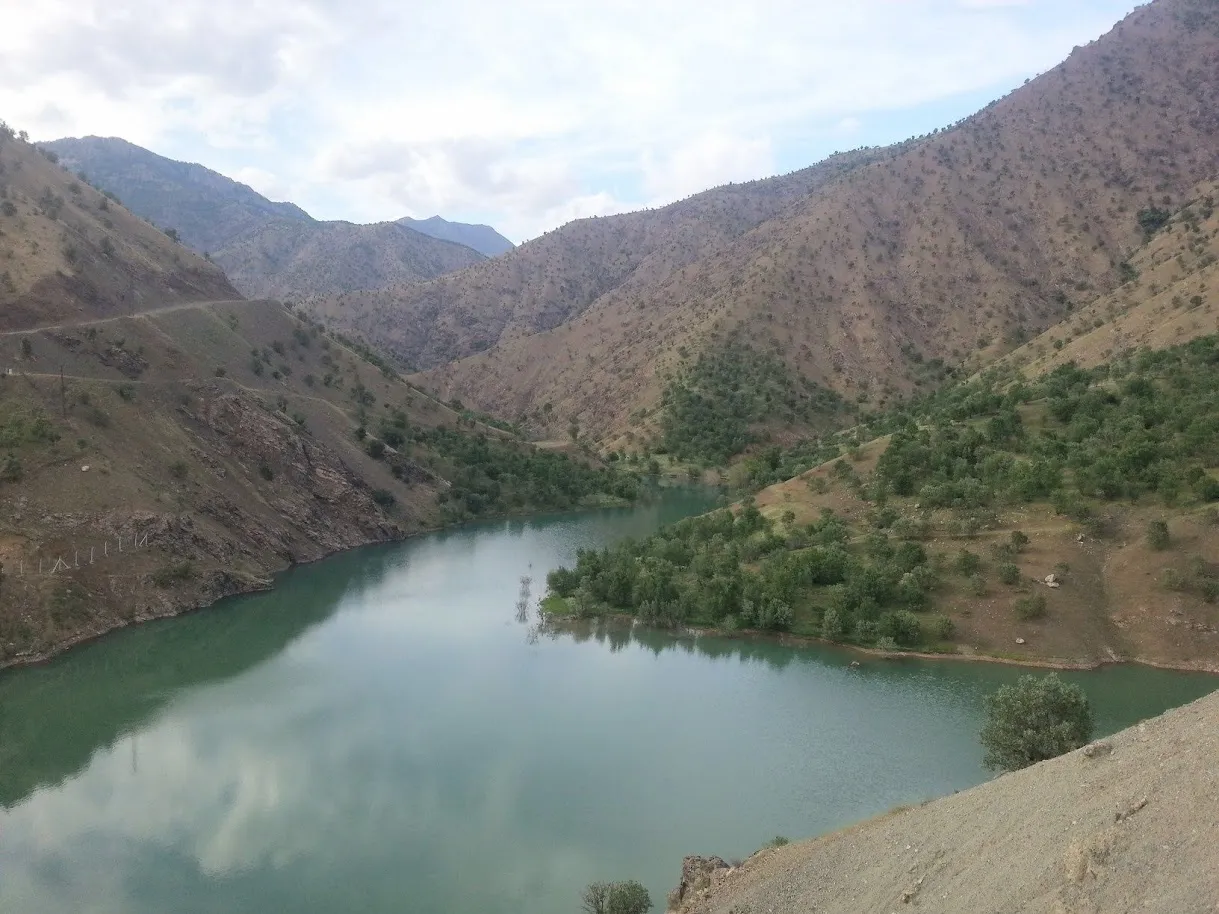 Dorşin