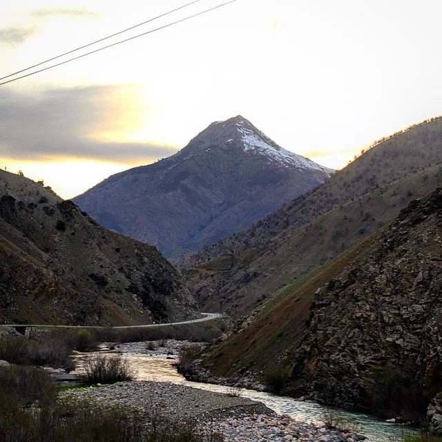Dorşin
