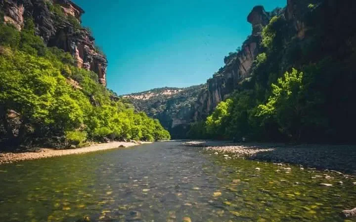 Fotoğraf