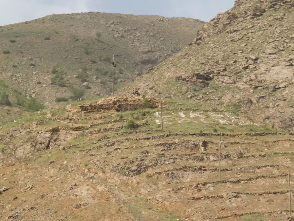 Ağaçlı Kalesi (Cıksê)