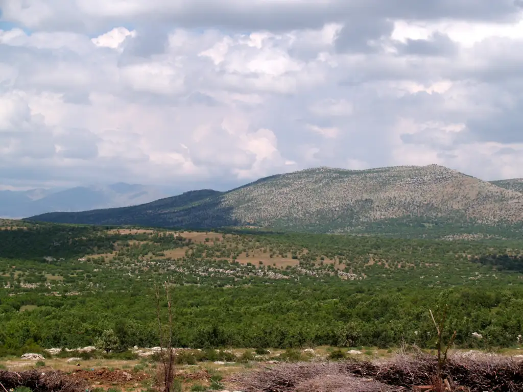 Lis Dağı