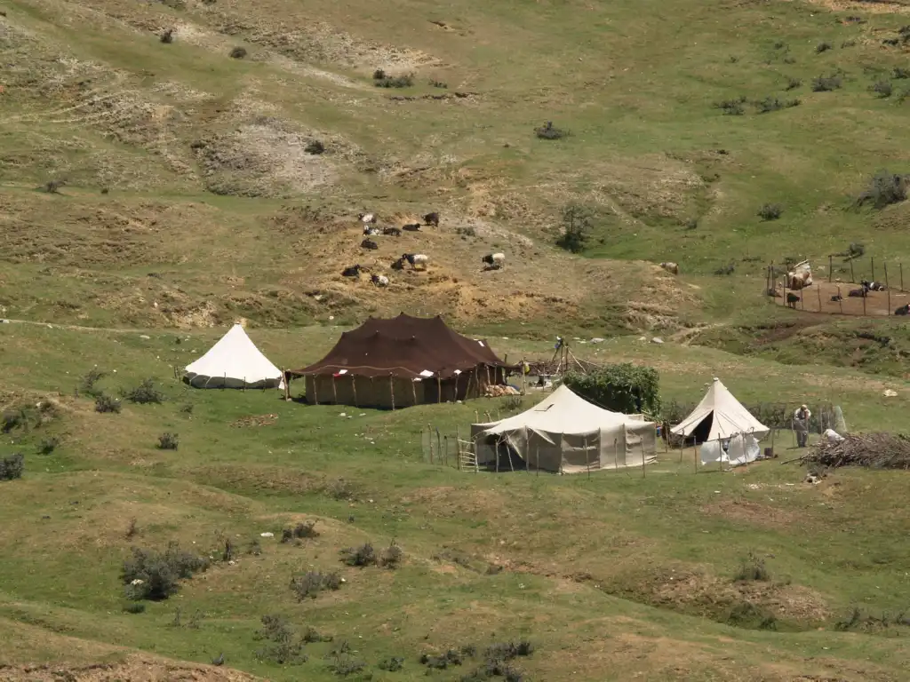 Şen Yaylası